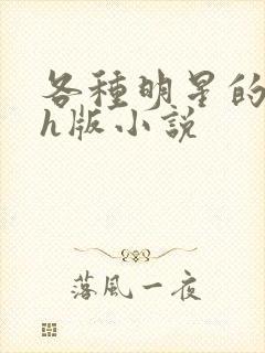 各种明星的综艺h版小说