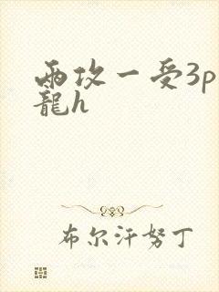 两攻一受3p双龙h