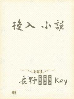 后入 小说