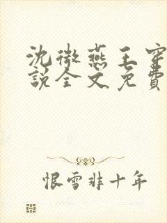 沈微燕王穿越小说全文免费阅读