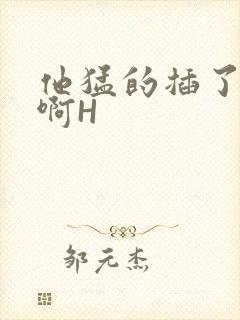 他猛的插了进去啊H