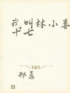 我叫林小喜今年十七