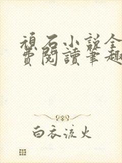 顽石小说全文免费阅读笔趣阁