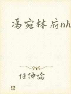 《冯宛林府nhp》小说封面