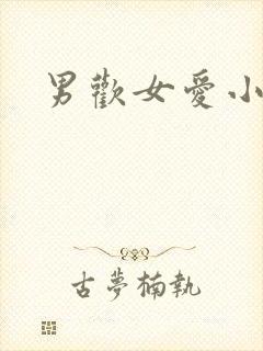 男欢女爱小说