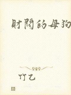财阀的母狗们