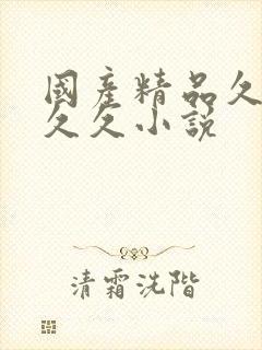 国产精品久久久久久小说