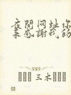 夜间网址你会回来感谢我的