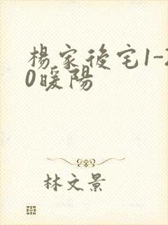 杨家后宅1-20暖阳