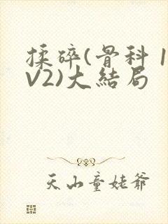 揉碎(骨科 1V2)大结局