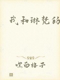 我和琳梵的故事