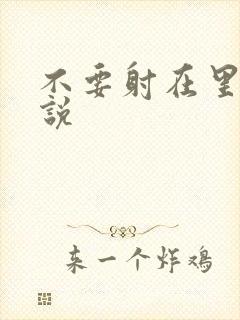 不要射在里面小说