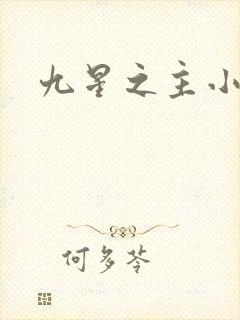 九星之主小说
