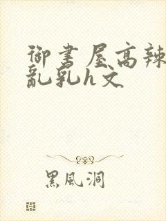 御书屋高辣h文乱乳h文