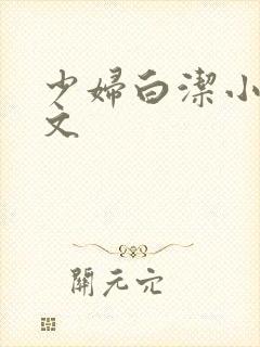 少妇白洁小说全文