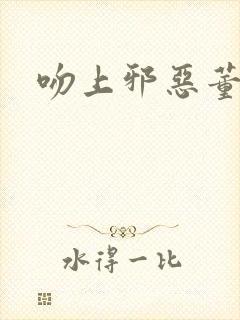 《吻上邪恶董事长》小说封面