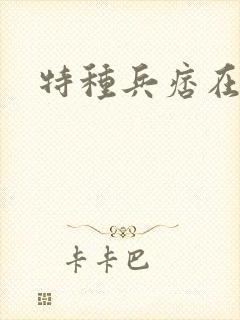 特种兵痞在都市