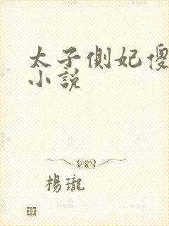 太子侧妃傻乎乎小说