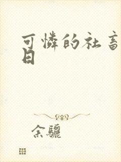 《可怜的社畜东度日》小说封面