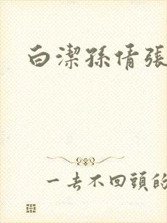 《白洁孙倩张敏》小说封面