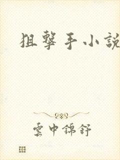 狙击手小说封面