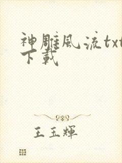 神雕风流txt下载