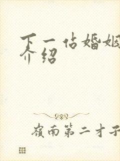 下一站婚姻剧情介绍