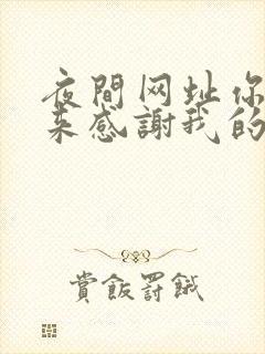 夜间网址你会回来感谢我的