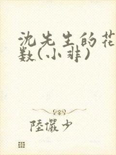 沈先生的花式调数(小非)