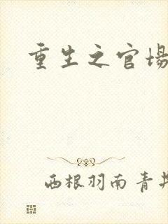 重生之官场风流