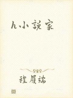 h小说家