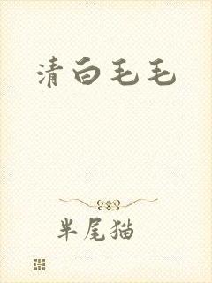 清白毛毛
