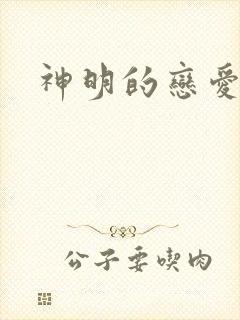 神明的恋爱游戏
