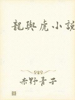 龙与虎小说