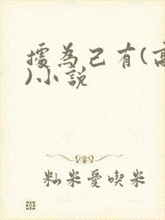 据为己有(高干)小说