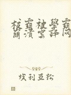 校霸被学霸玩到崩溃云译网