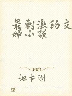 最刺激的交换夫妇小说