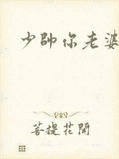 少帅你老婆