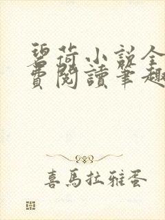 碧荷小说全文免费阅读笔趣阁