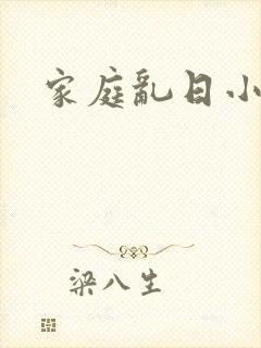 家庭乱日小说