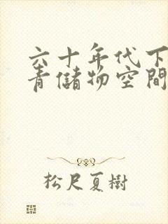 六十年代下乡知青储物空间