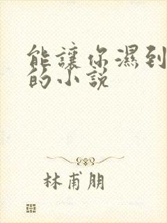 能让你湿到不行的小说