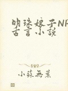 明珠娘子NPC古言小说