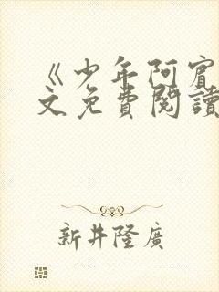 《少年阿宾》全文免费阅读