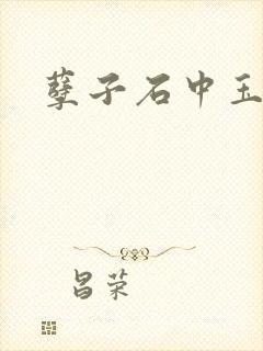 孽子石中玉