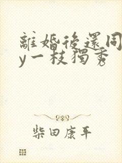 离婚后还同居by一枝独秀封面