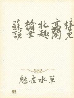 苏榆北高梓淇小说笔趣阁免费阅读