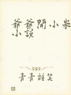 爷爷开小米的包小说