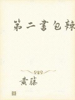 第二书包辣文