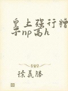 皇上强行糟蹋太子np高h